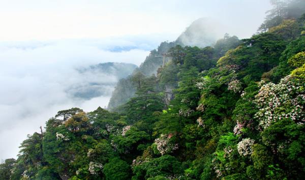 井岡山風景區