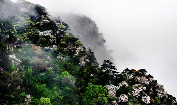 井岡山風景區