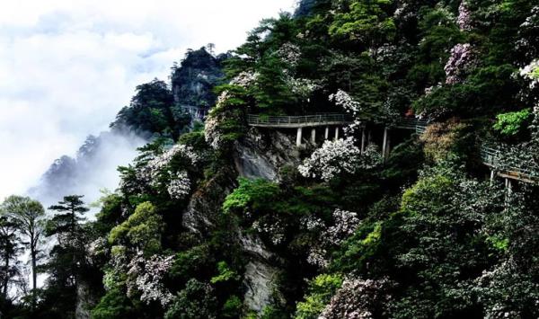 井岡山風景區