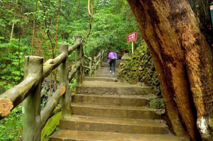 融水雙龍溝原始森林景區(qū)