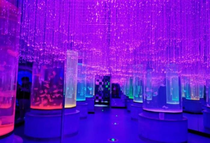 龍宮大白鯨極地海洋館