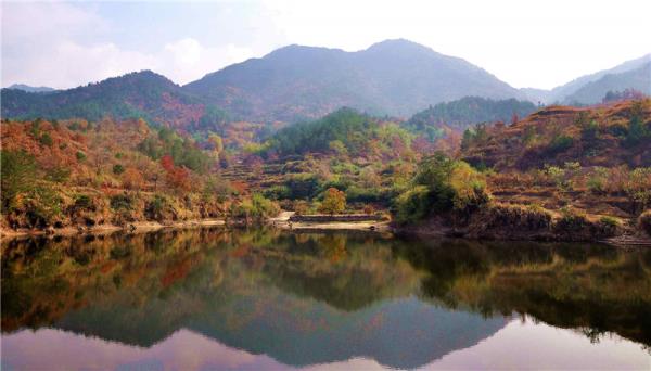 桃花沖森林公園