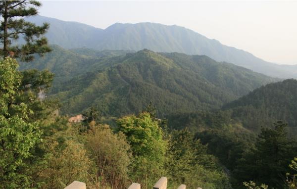 桃花沖森林公園