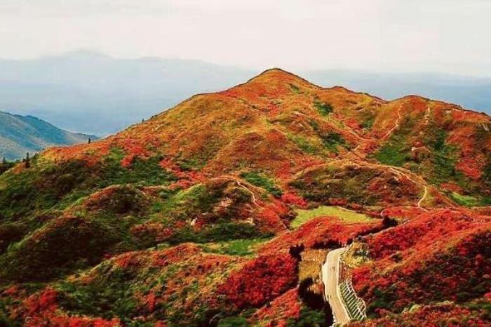 大圍山國(guó)家公園