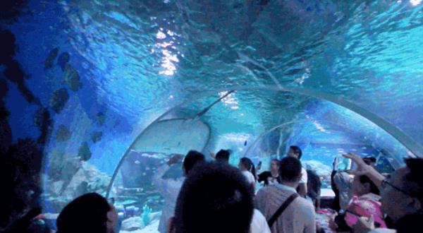 內江歡樂海底世界