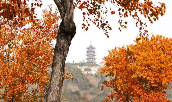 香山景區