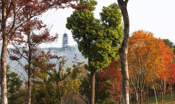 香山景區
