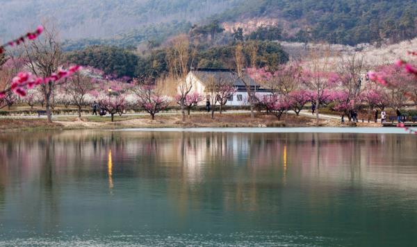 香山景區
