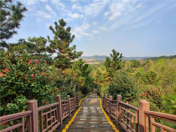 黃岡五腦山森林公園