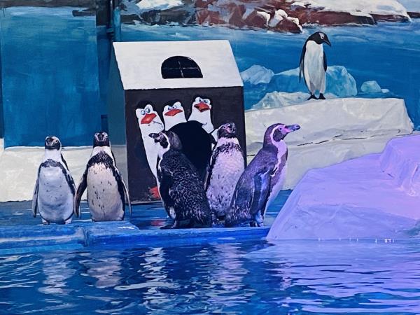阜陽堯泰漢海海洋公園
