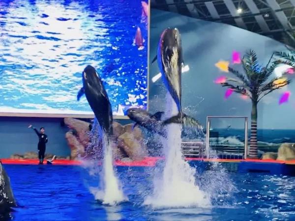 阜陽堯泰漢海海洋公園