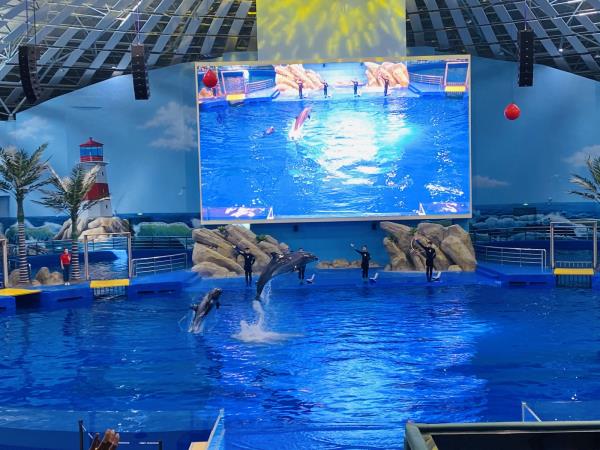 阜陽堯泰漢海海洋公園