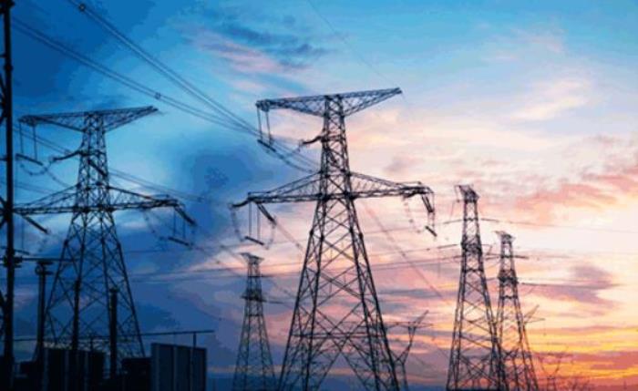 國家電網電費代繳權益折扣年卡