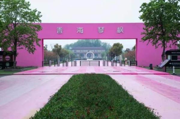 香海琴楓