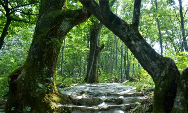 襄陽橫沖旅游景區