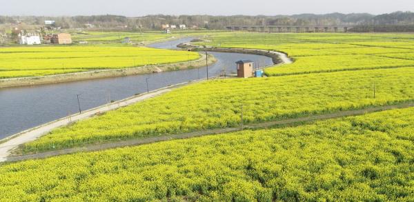 紫海田園