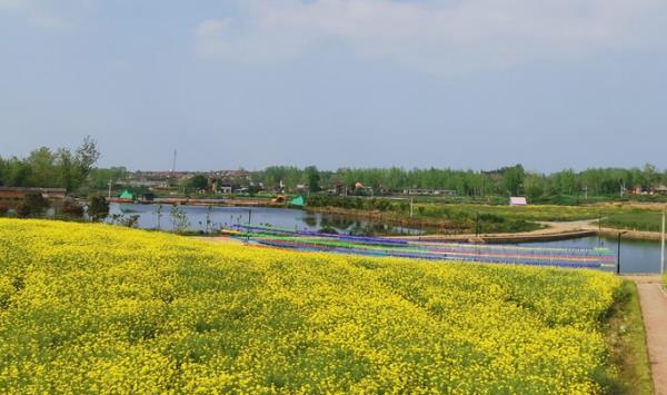 紫海田園