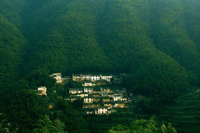 木坑竹海景區