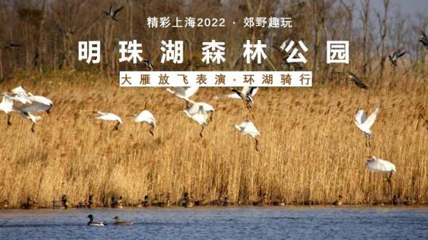 2022《精彩上海》旅游聯票