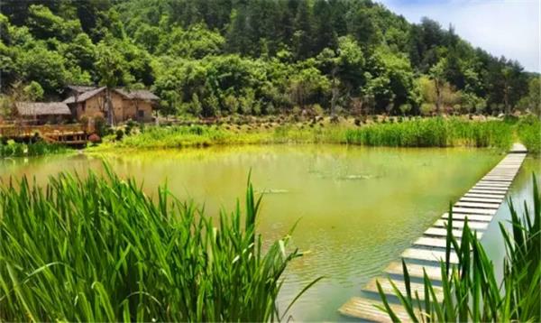 中國秦嶺悠然山高山濕地景區(qū)