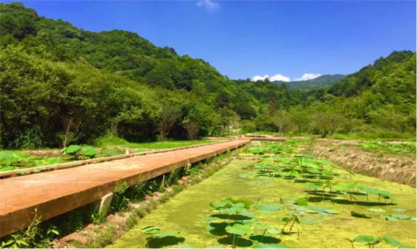 中國秦嶺悠然山高山濕地景區(qū)