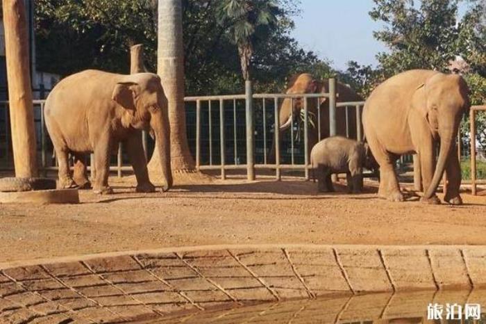 圓通山動(dòng)物園