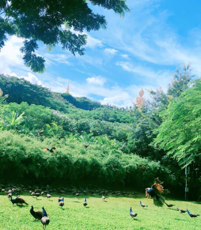 西雙版納勐泐文化旅游區