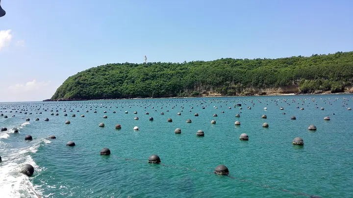 鱷魚山景區(qū)