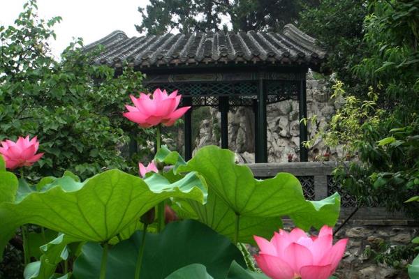 濟寧市曲阜明故城（三孔）旅游區