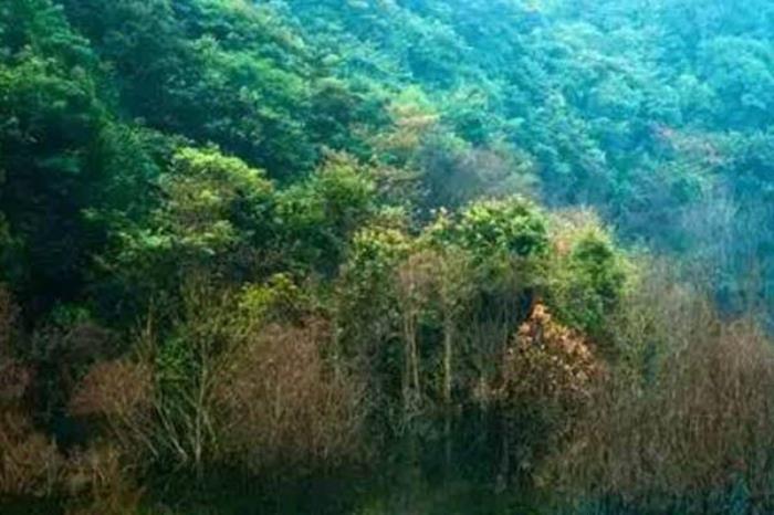 九連山國家自然保護(hù)區(qū)