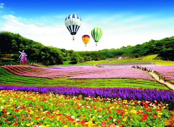 清溪谷旅游區花田酒地景區
