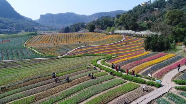 清溪谷旅游區花田酒地景區