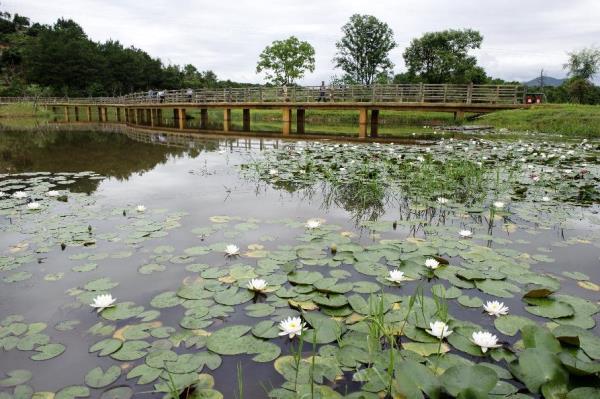 汀江國(guó)家濕地公園