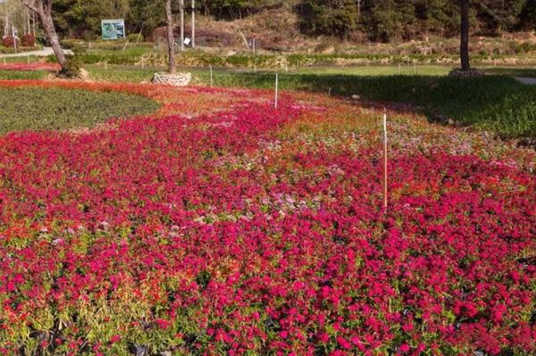 汀江國(guó)家濕地公園