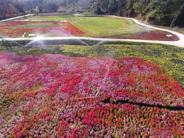 汀江國(guó)家濕地公園