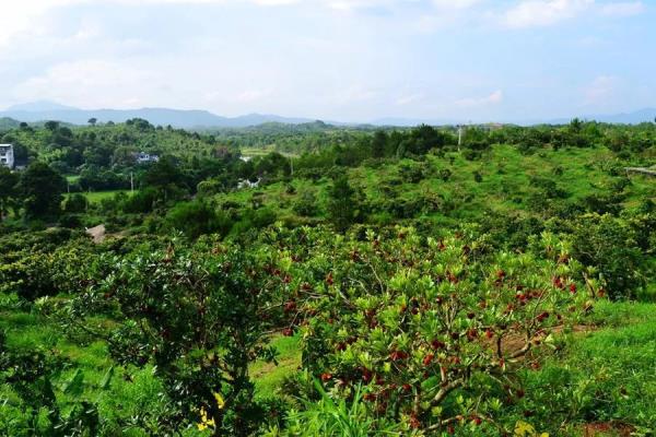 汀江國(guó)家濕地公園