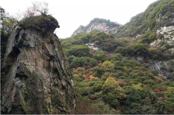 少華山森林公園