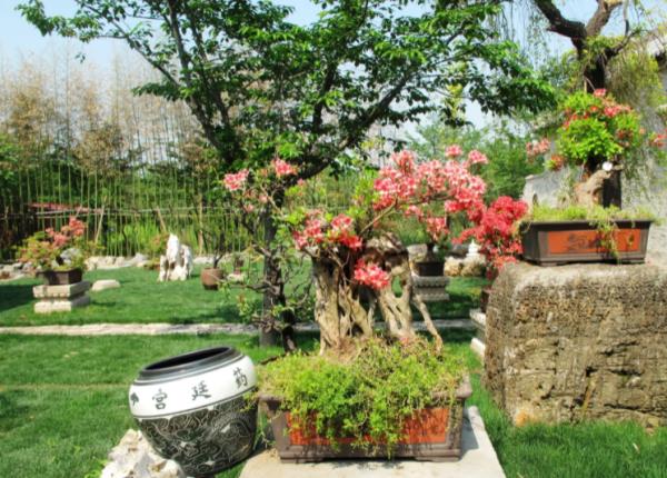許昌鄢陵唐韻櫻花園