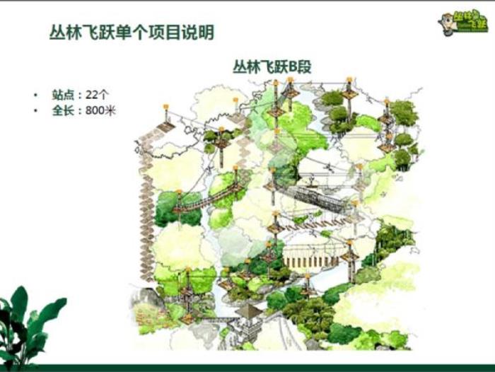 西雙版納原始森林公園叢林飛躍