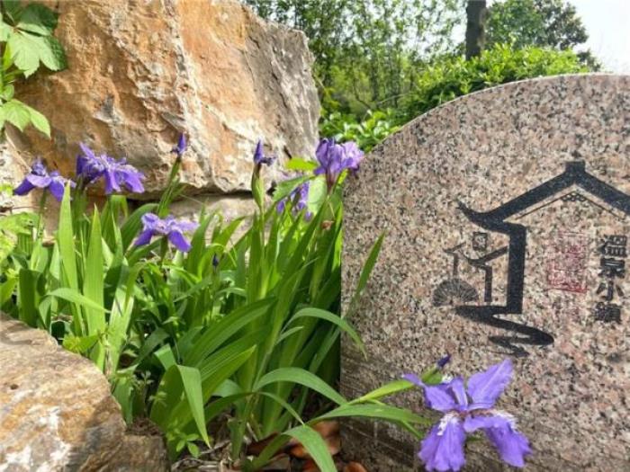 棗莊仙壇山溫泉小鎮(zhèn)