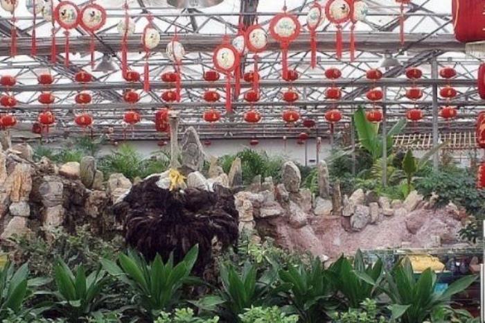 鴕鳥王生態(tài)園景區(qū)