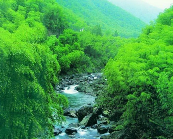宜昌-三峽竹海