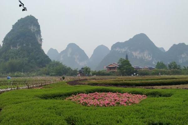 鵝泉