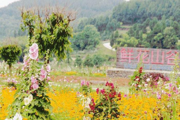 鮮花山谷