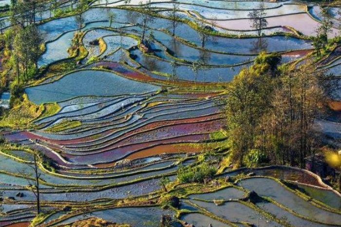 老鷹嘴梯田