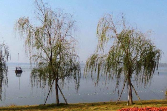 金湖公園