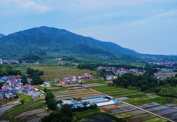 環線飛行(大冶龍鳳山滑翔傘基地)