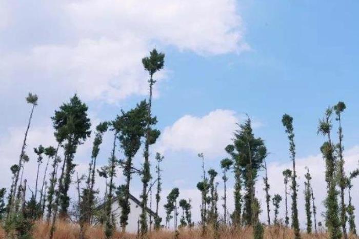 鹿臥山遺址