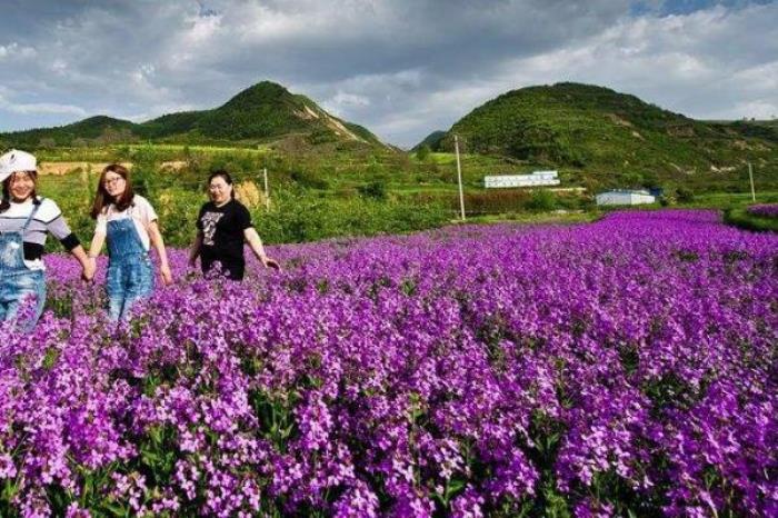 上關花景區