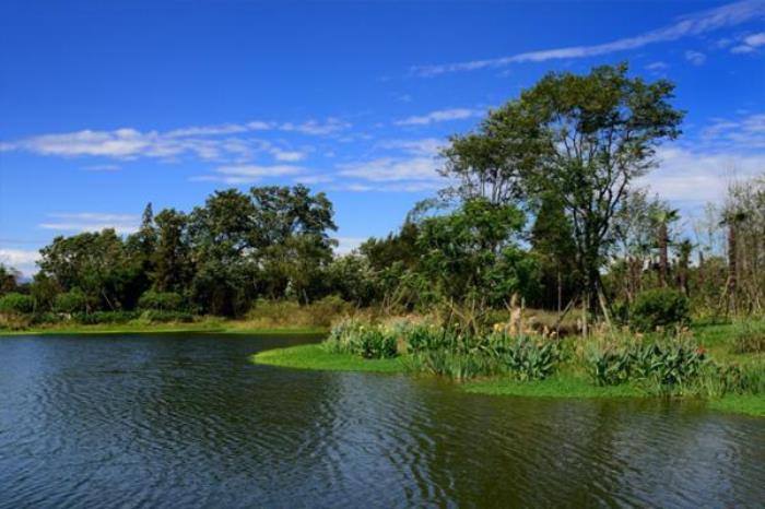 榿木河濕地公園